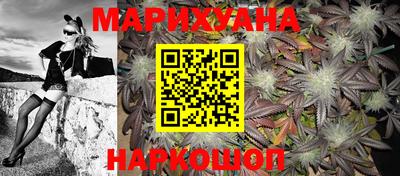Альфа ПВП Новозыбков