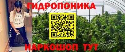 Альфа ПВП Новозыбков