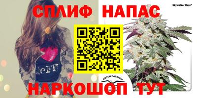 каннабис Новокубанск