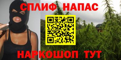 Альфа ПВП Новозыбков