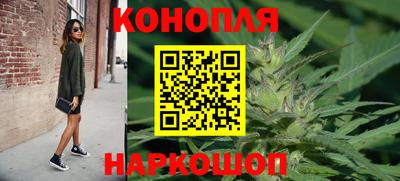 Альфа ПВП Новозыбков