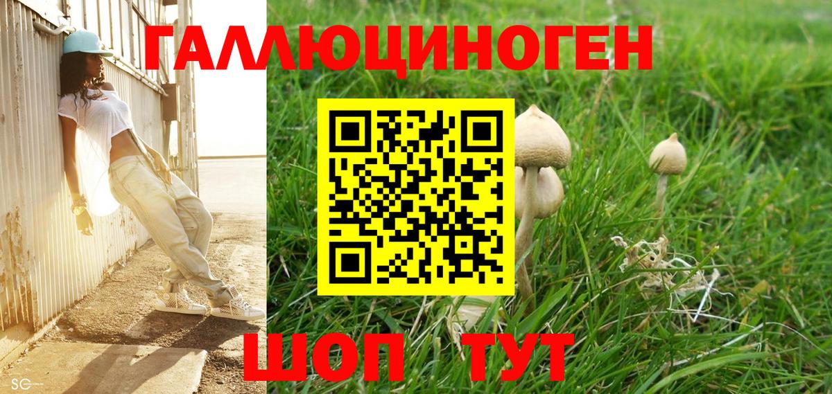 Псилоцибиновые грибы MAGIC MUSHROOMS Фрязино